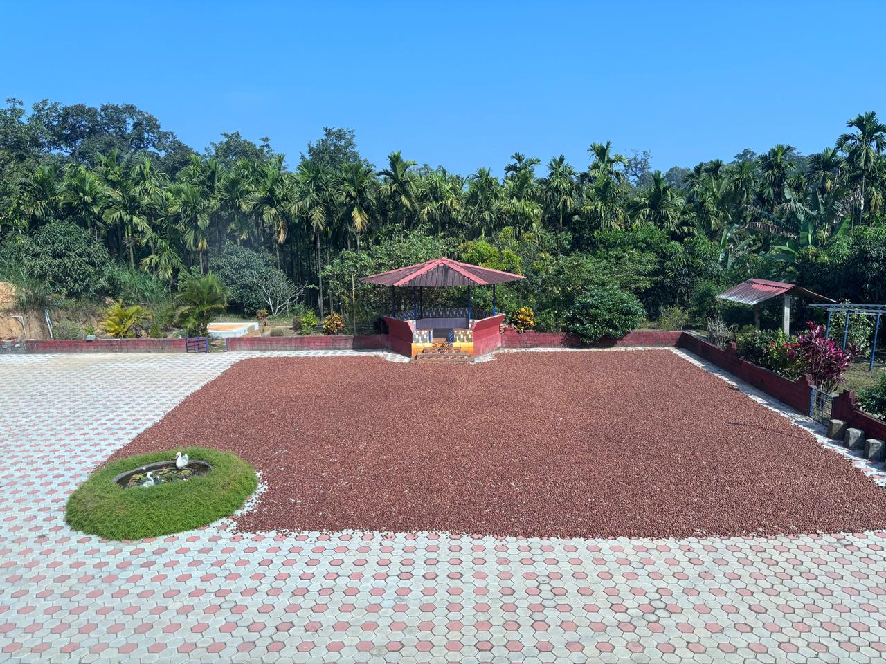 Farm harvest area at Subrahmanya’s family farm